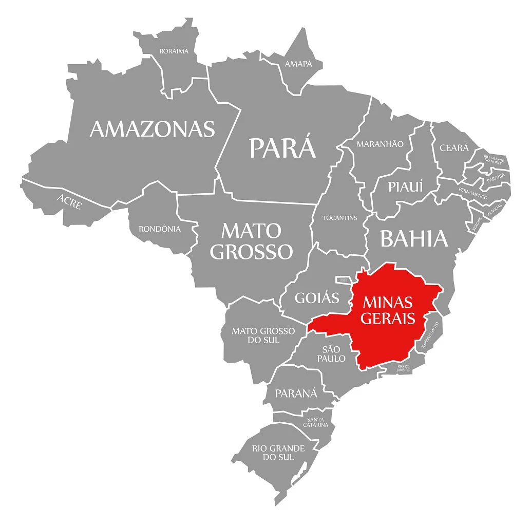 Brazil Cerrado | Boxes - Image 3