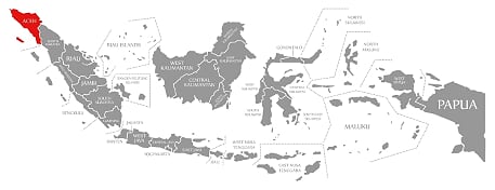 Indonesia Sumatra Mandheling Grade 1 | Boxes - Image 3